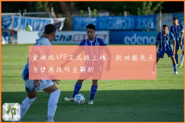 爱游戏APP正式版上线，新功能亮点与使用技巧全解析