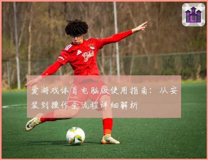 爱游戏体育电脑版使用指南：从安装到操作全流程详细解析